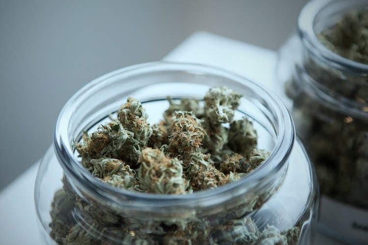 Un bocal avec des bourgeons de cannabis