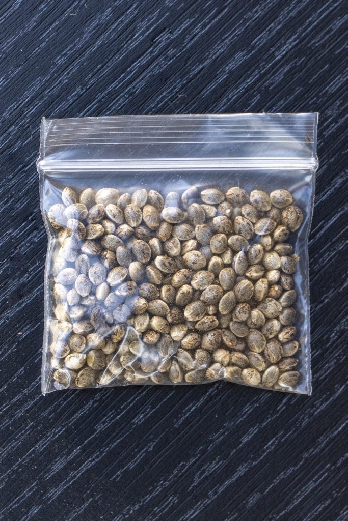 bolsa sellada de semillas de cannabis